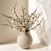A matte beige ceramic vase holding dried branches with small white blossoms, placed on a white surface in a sunlit corner with soft shadows cast across the wall.