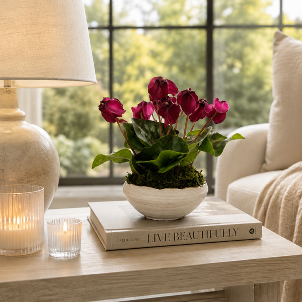 A potted cyclamen plant with deep magenta flowers and green leaves sits on a light wood table in a cozy living room setting, styled with a textured ceramic lamp, two lit candles, and a book.