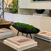 A black metal bowl-shaped planter filled with bright green moss, styled on a dark tabletop with books in a modern interior setting.