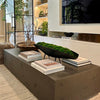 A modern living room interior featuring a large rectangular dark gray concrete coffee table in the foreground, topped with books and a long black planter filled with green moss. Behind it is a white wall with built-in shelving, a large black-framed TV, and glass partition panels with indoor plants.