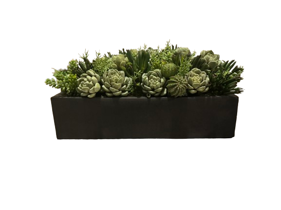 rectangle succulent planter Carlo Container Succulent – Viburnum Home