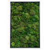 A framed vertical wall art piece featuring a dense textured arrangement of green mosses and foliage, enclosed in a thin black frame against a white background.