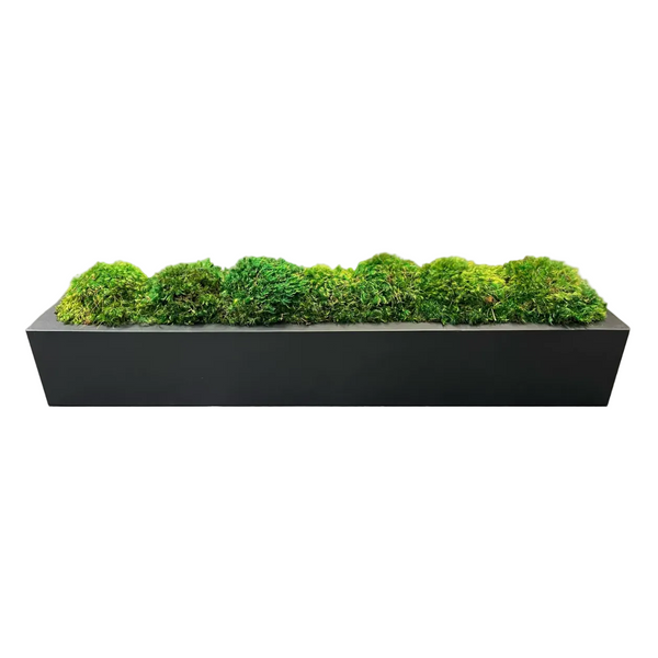 A black rectangular Moss Planter filled with green moss, designed as a decorative piece for indoor settings.