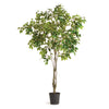 An artificial potted tree with green leaves and brown branches, in a black plastic pot, isolated on a white background.
