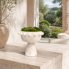White pedestal planter bowl with ball trim detail, styled on a stone ledge with moss and greenery