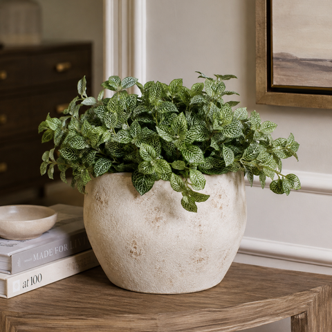 All Plants