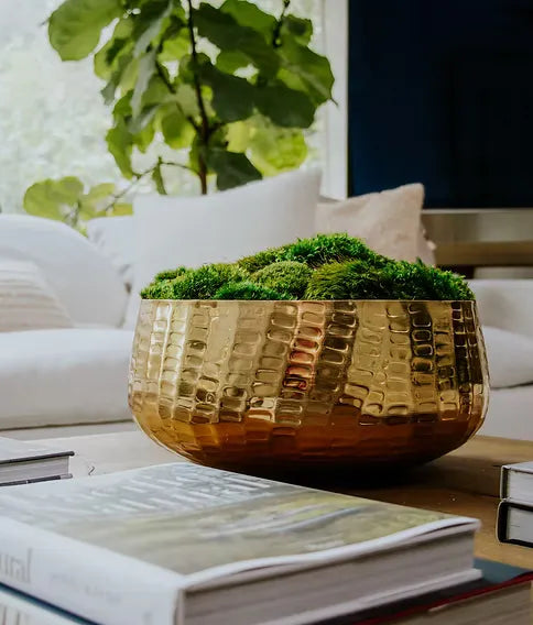 A hammered gold bowl filled with green moss sits on a table in a softly blurred living room setting with a sofa, plant, and books visible.