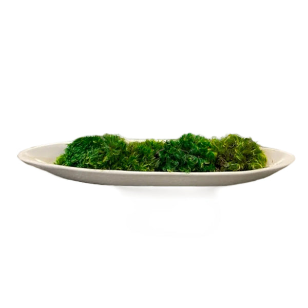 A wide set boat vessel filled with freshly preserved green moss, intended for use as artificial flora in home decor.