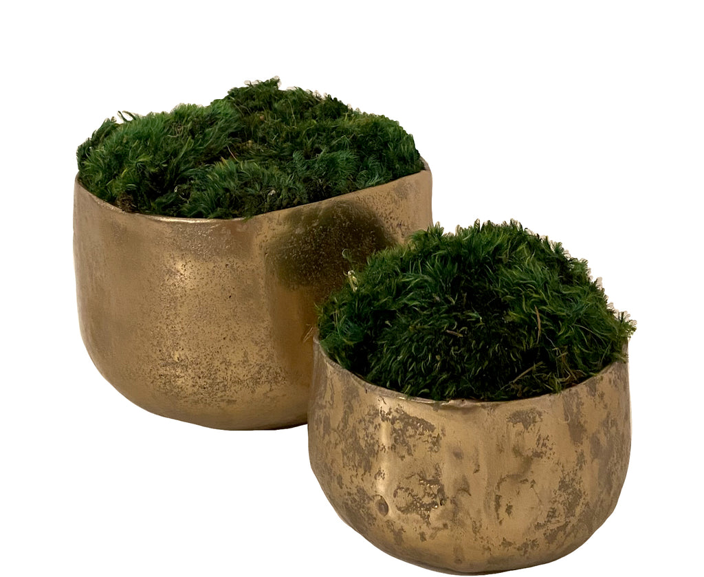 cache pots for indoor plants Amelia Cache Pot Moss Planter – Viburnum Home