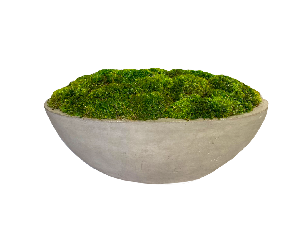 Moss Bowl