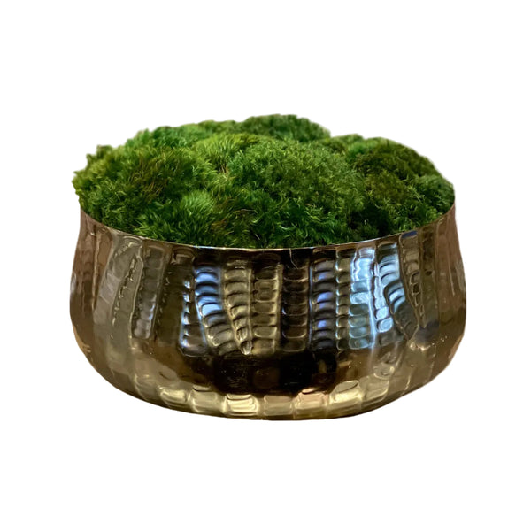 A bronze-colored metal bowl filled with green preserved moss.