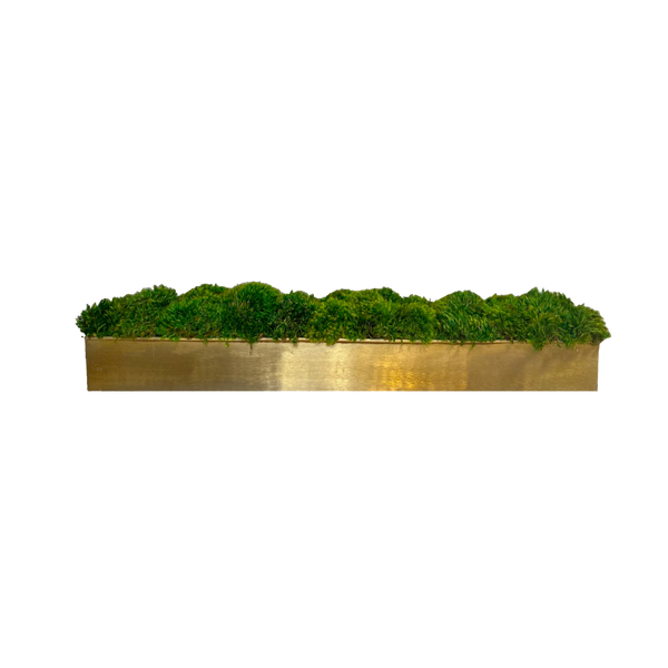 A rectangular gold-colored metal planter with preserved green moss.