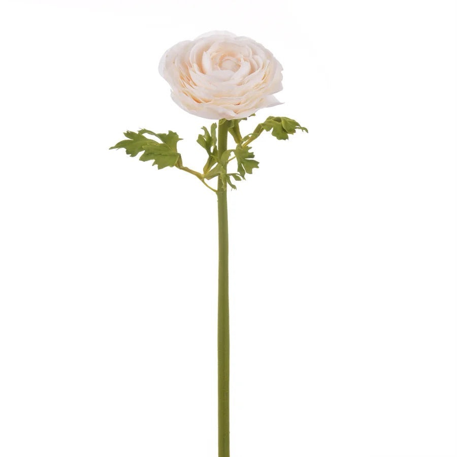 Ranunculus Stem in Beige – Viburnum Home