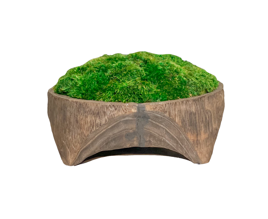 Thabi Moss Bowl – Viburnum Home