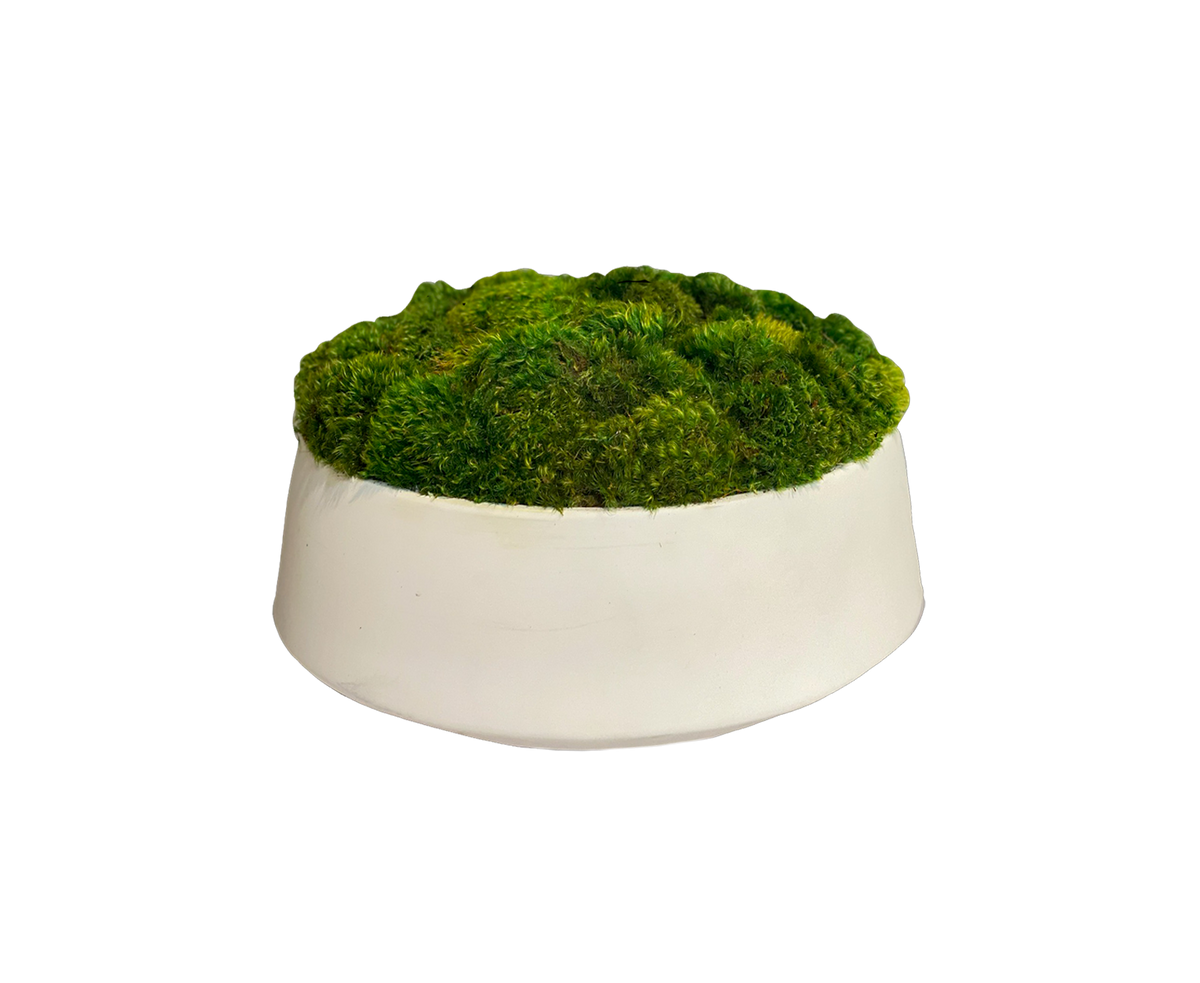 Tarva White Moss Bowl